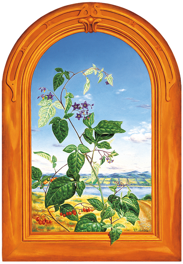 Noble Solanum, Huile sur papier marouflé sur panneau, 53,5 sur 35,5 cm